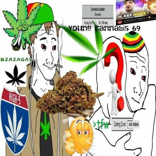 YoungCannabis69 logo on MYTOKEN
